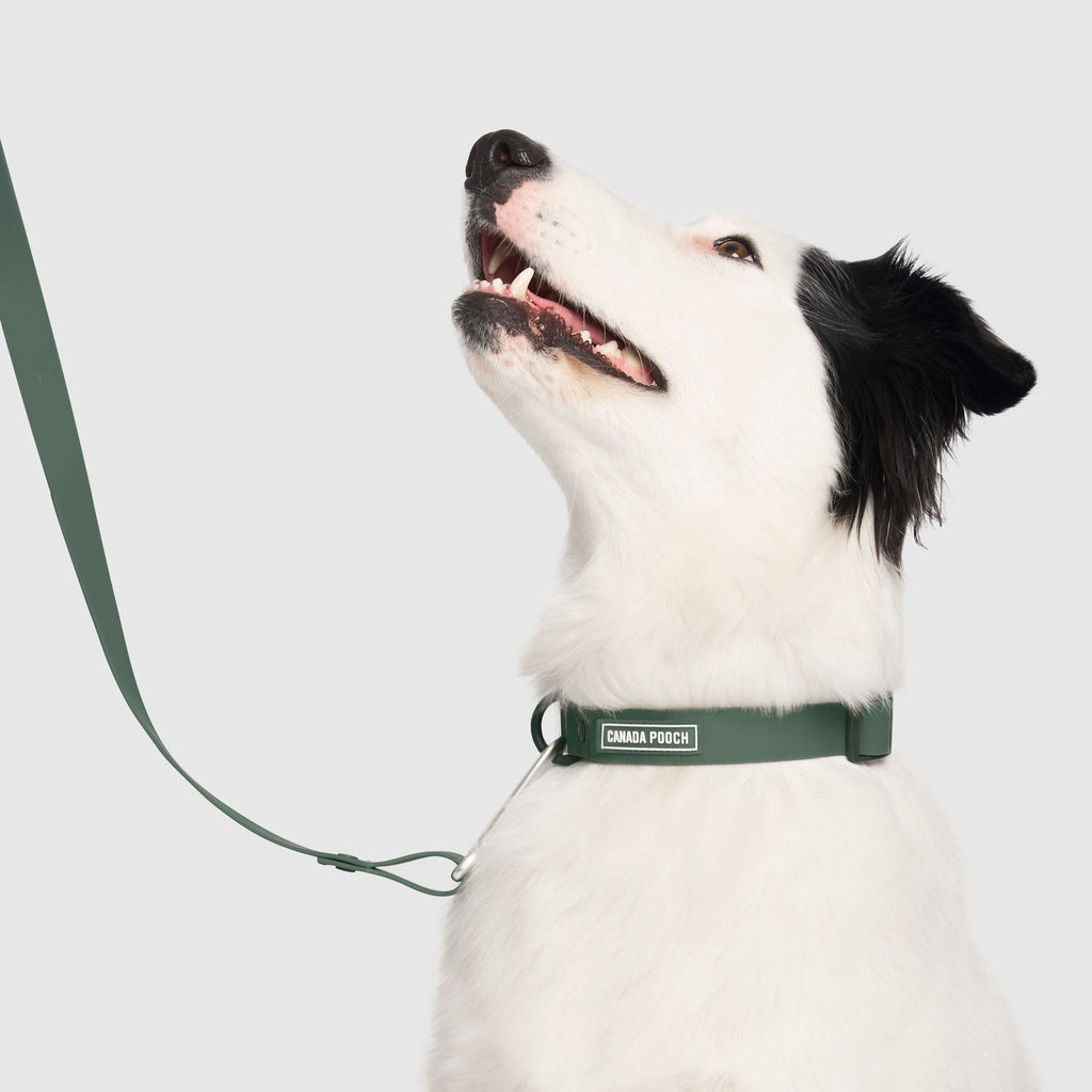 Waterproof Collar Z7eq