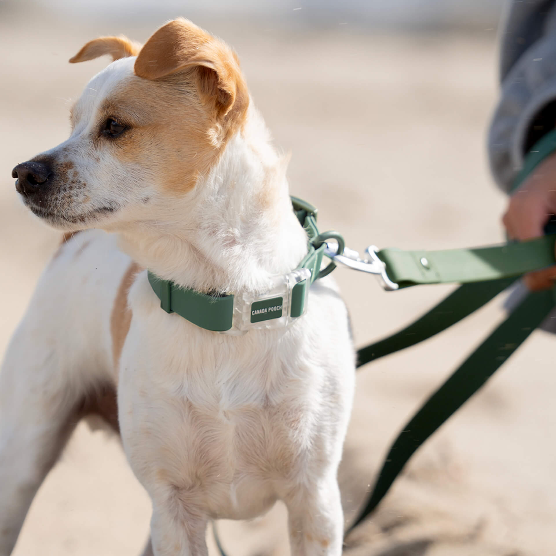 Waterproof Collar Z7eq