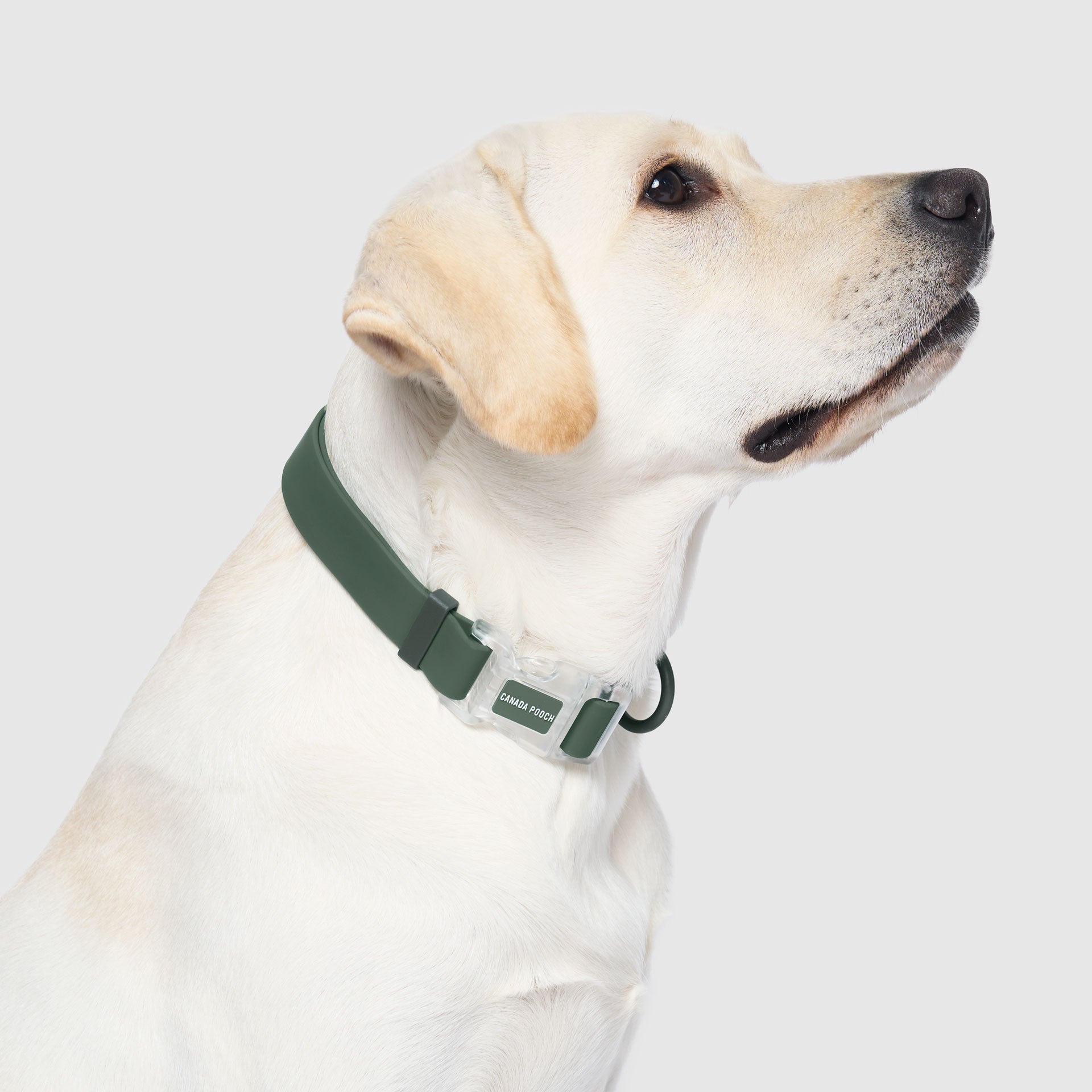 Waterproof Collar Z7eq