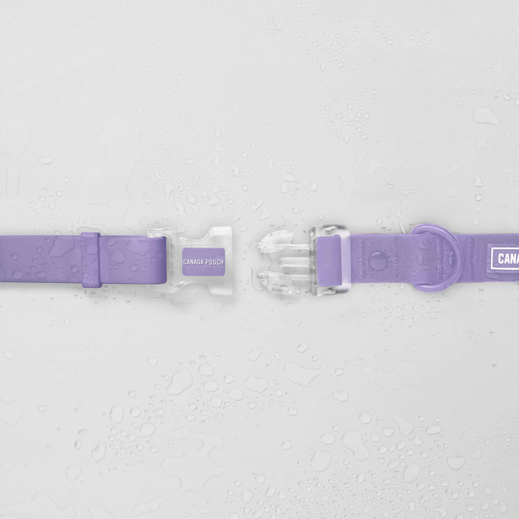 Waterproof Collar Z7eq