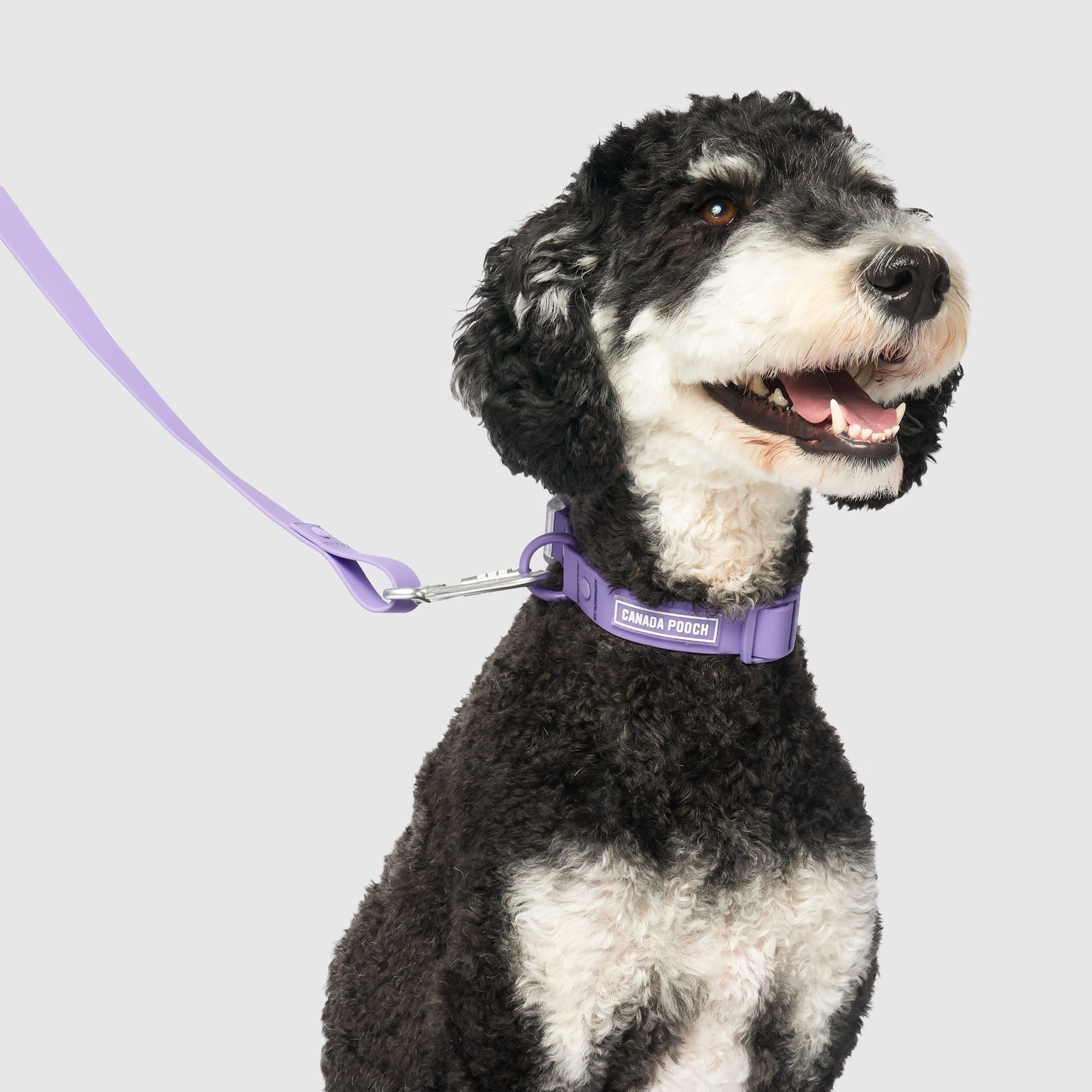Waterproof Collar Z7eq
