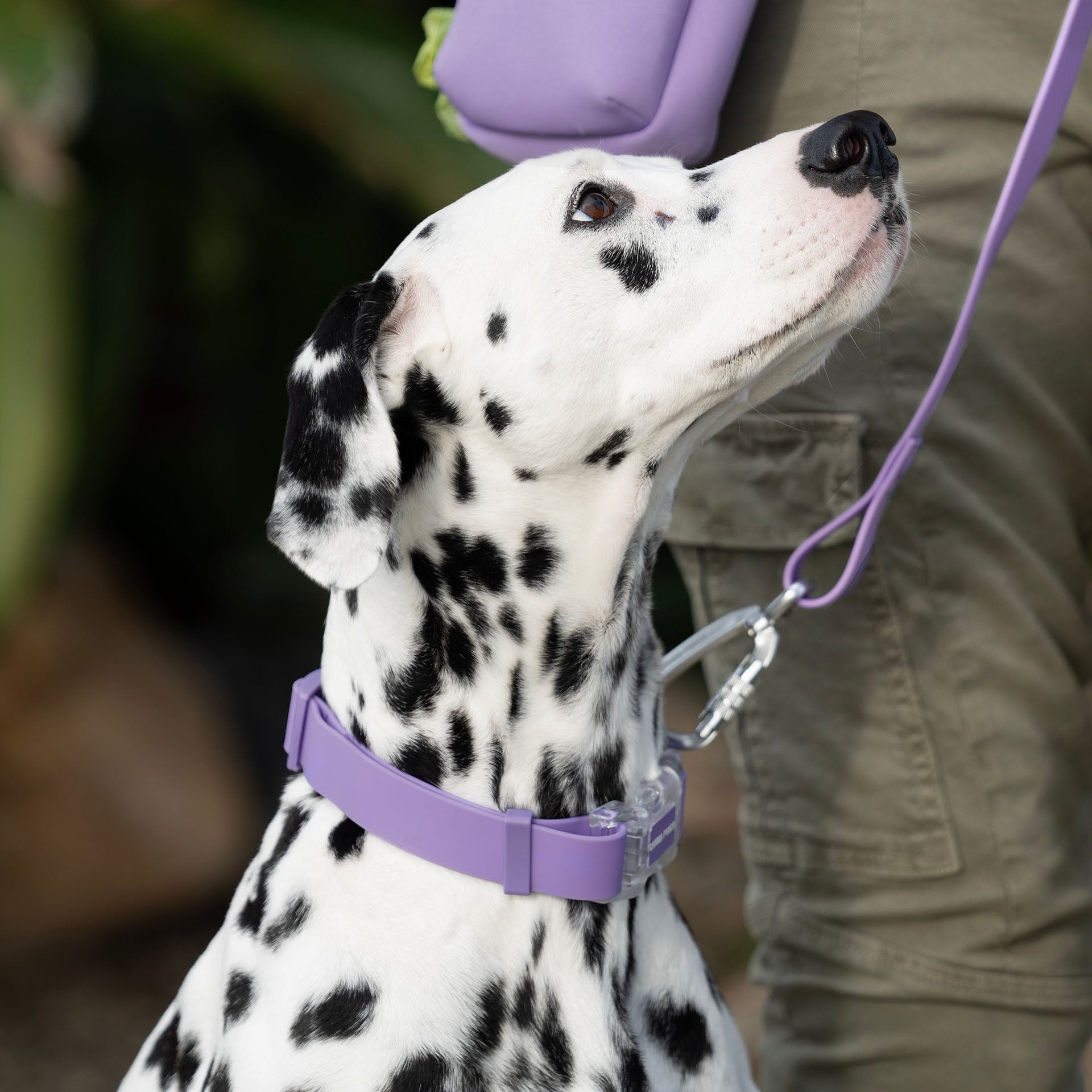 Waterproof Collar Z7eq