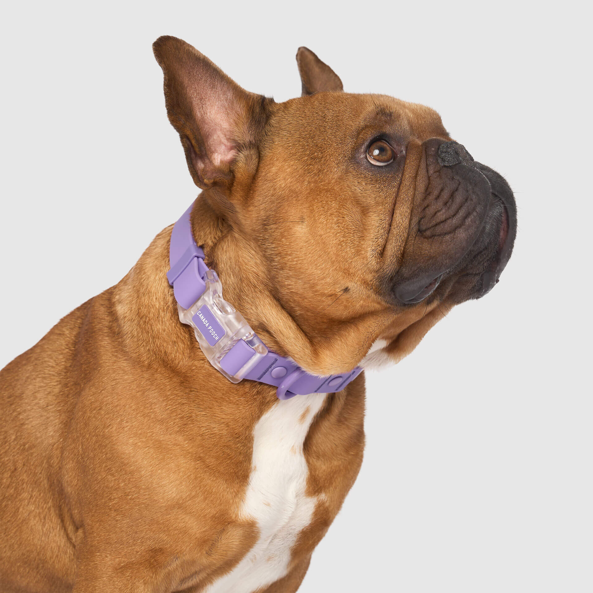 Waterproof Collar Z7eq