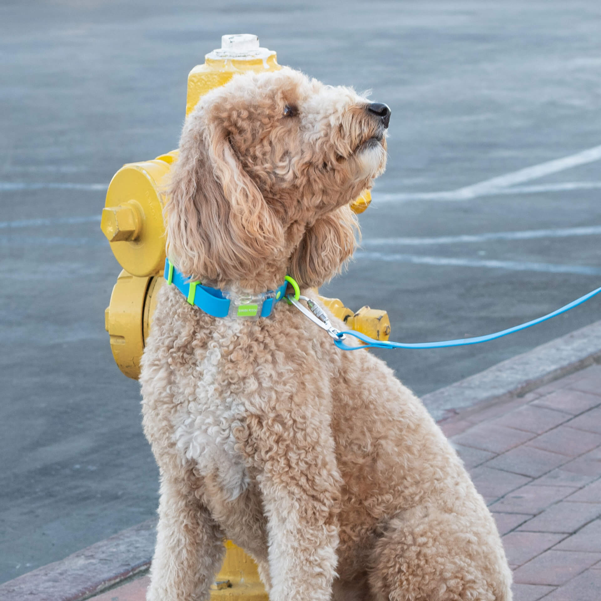 Waterproof Collar Z7eq