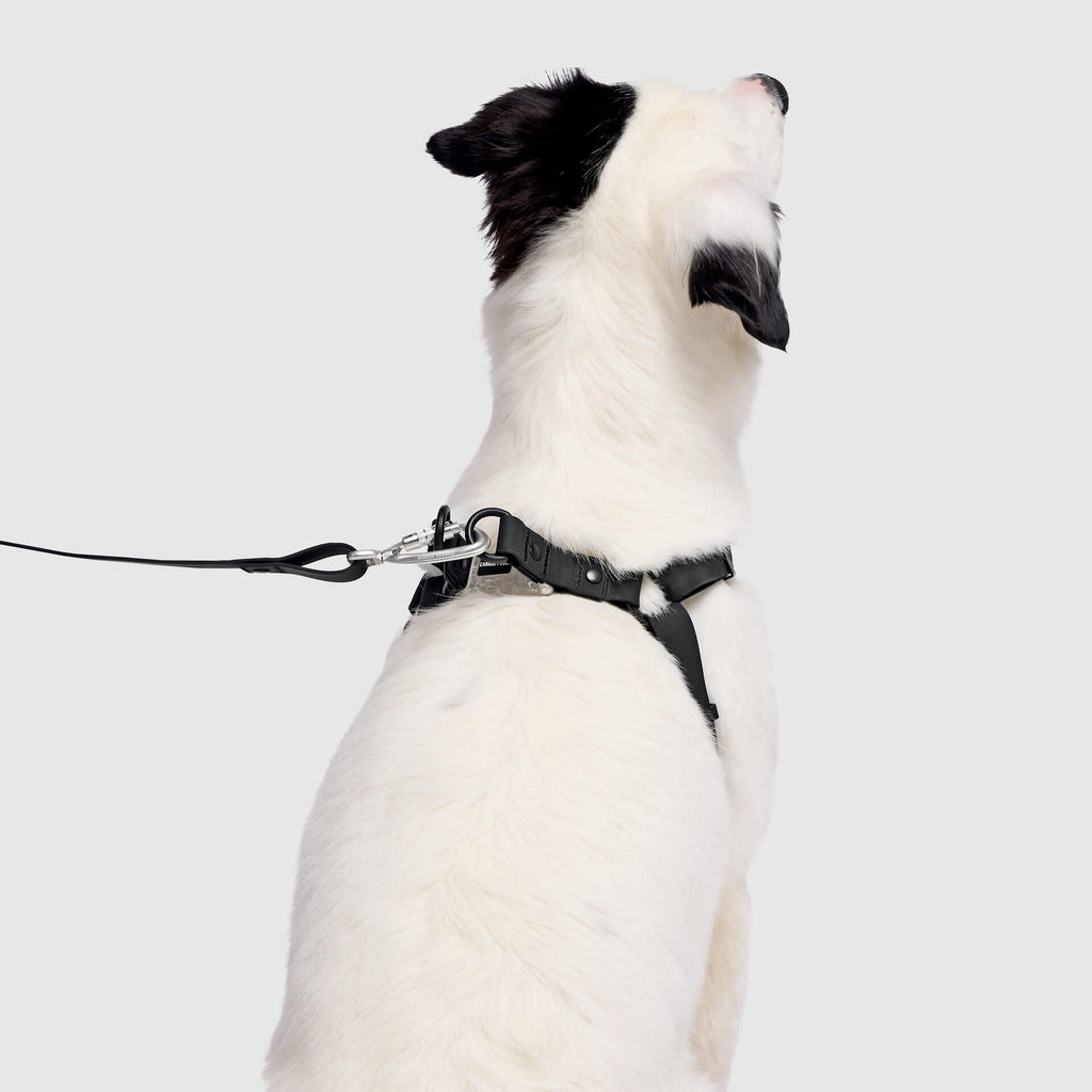 Waterproof Harness M4rc