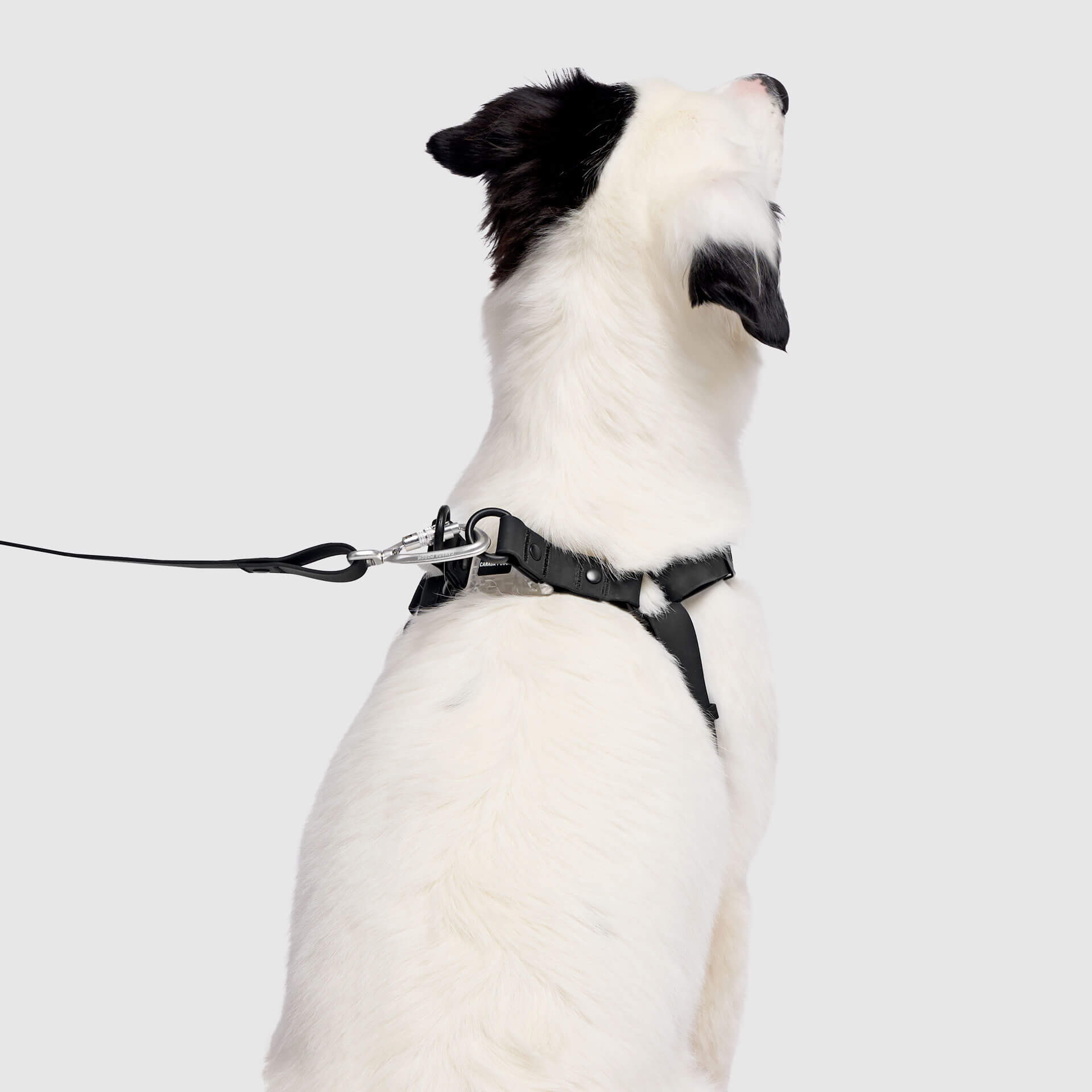 Waterproof Harness M4rc