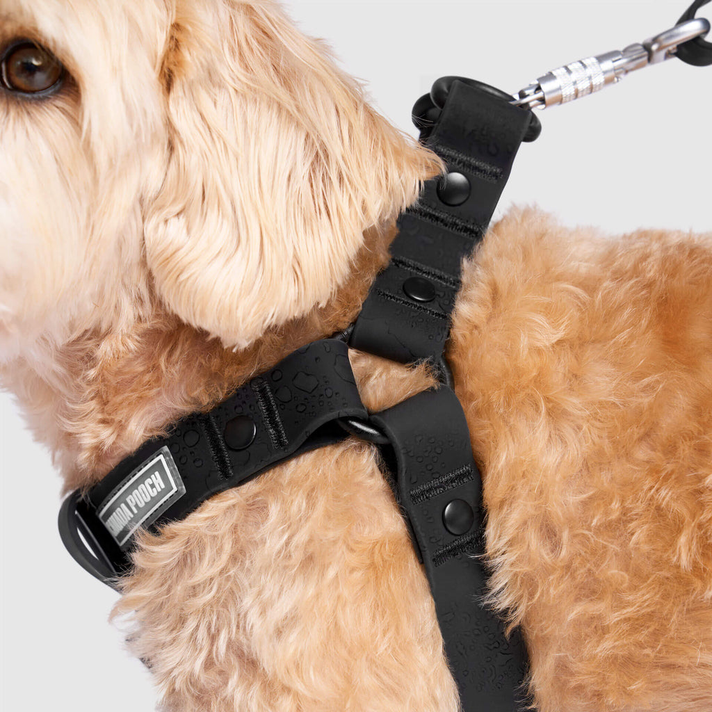 Waterproof Harness M4rc