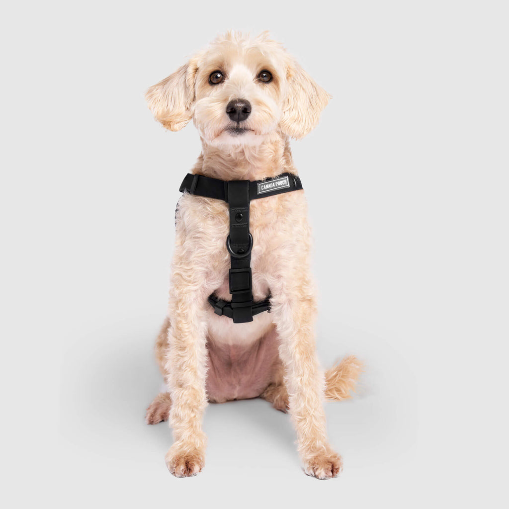 Waterproof Harness M4rc
