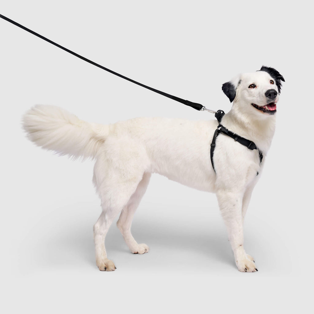 Waterproof Harness M4rc
