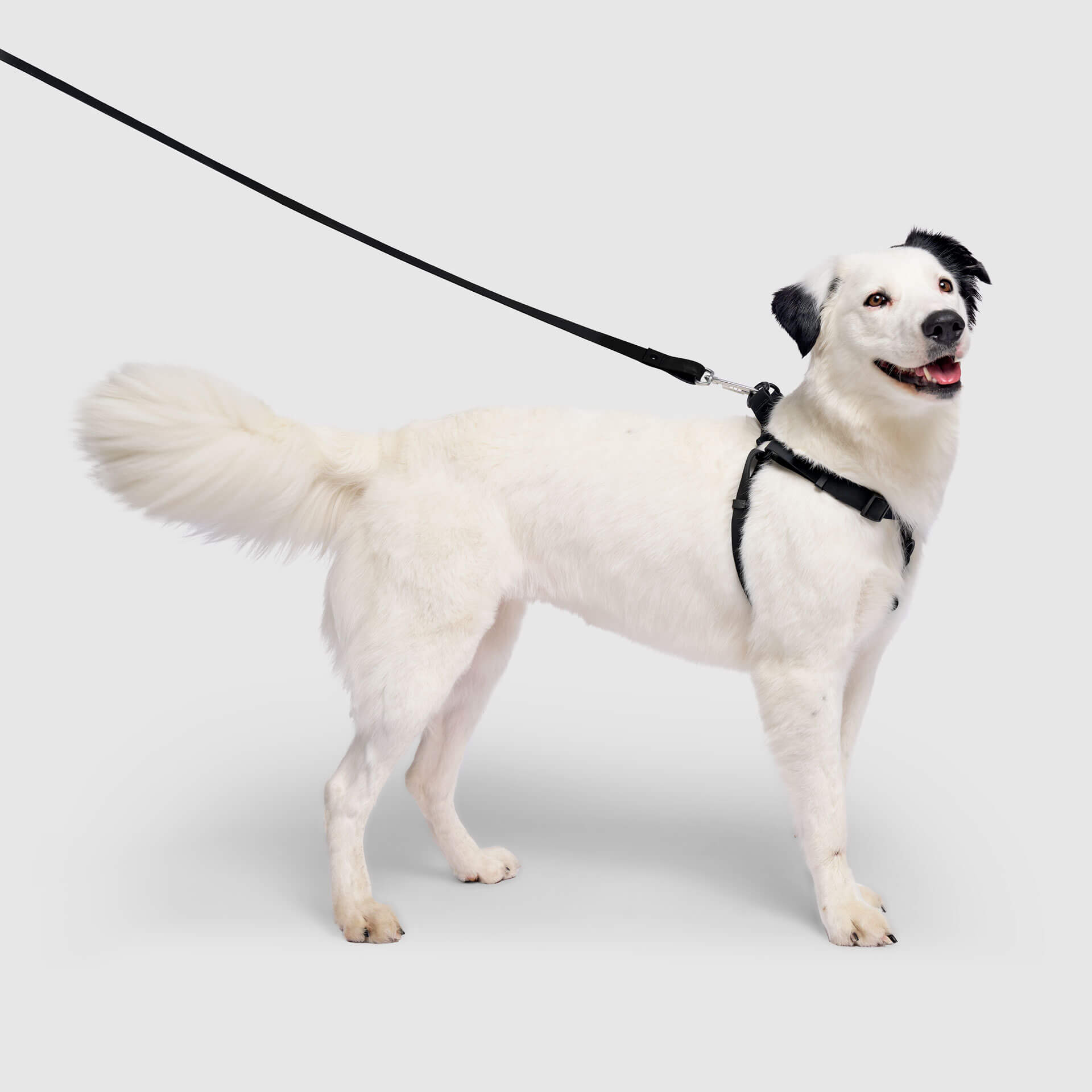 Waterproof Harness M4rc