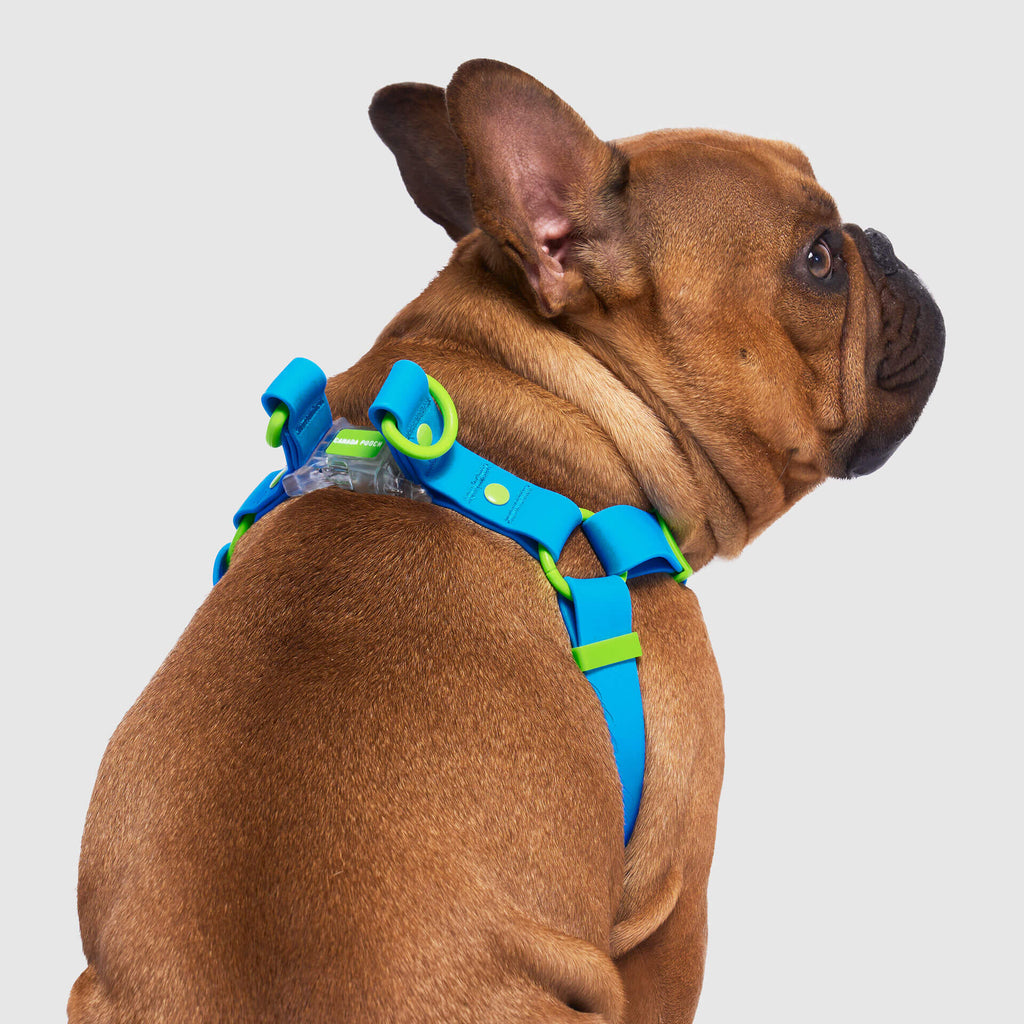 Waterproof Harness M4rc