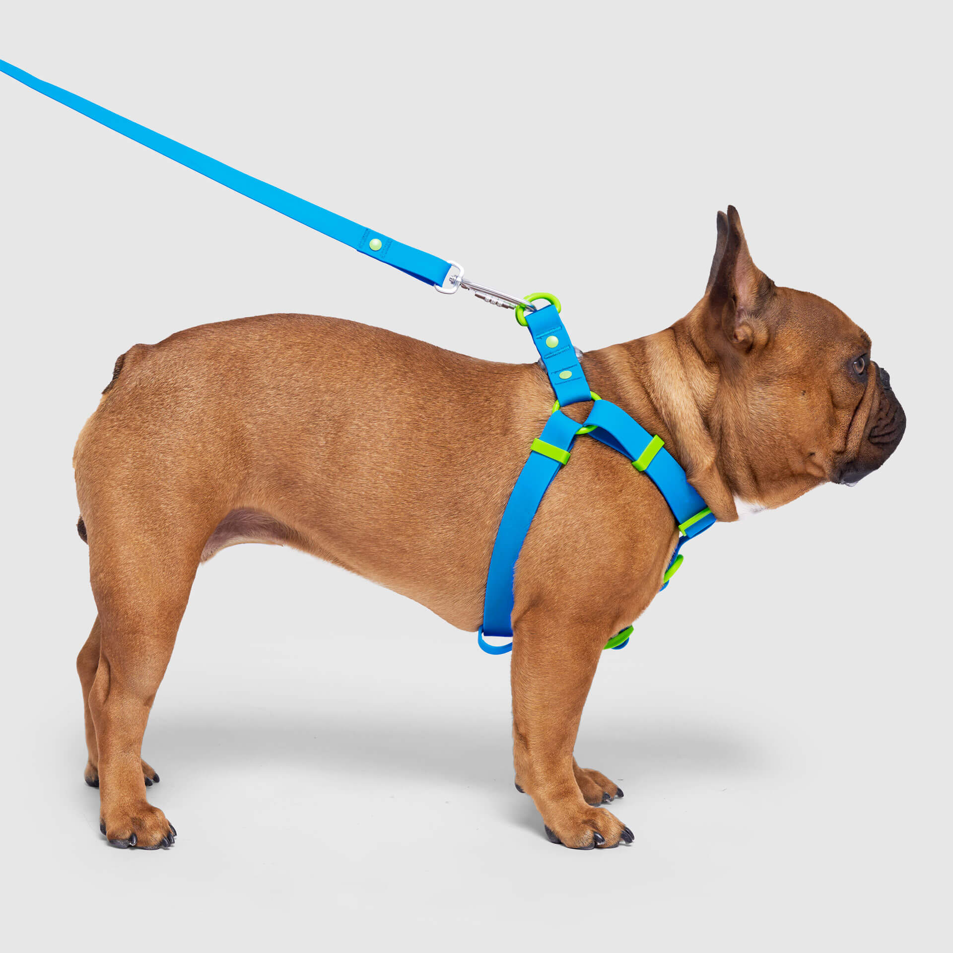 Waterproof Harness M4rc