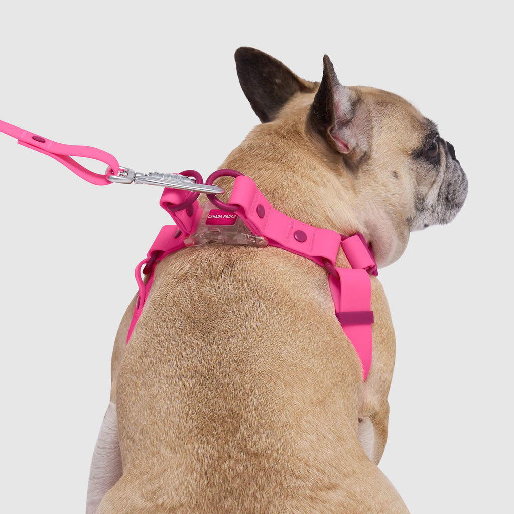 Waterproof Harness M4rc