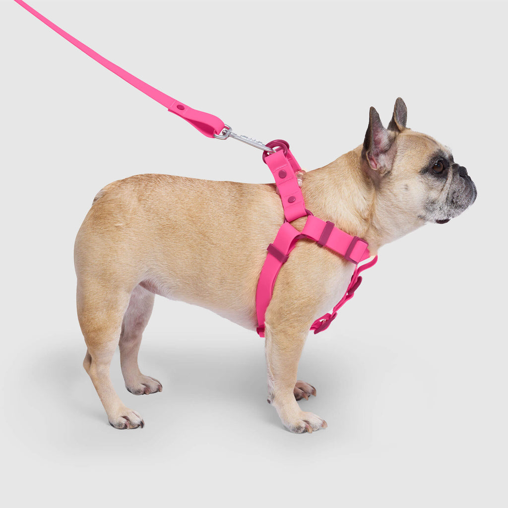 Waterproof Harness M4rc