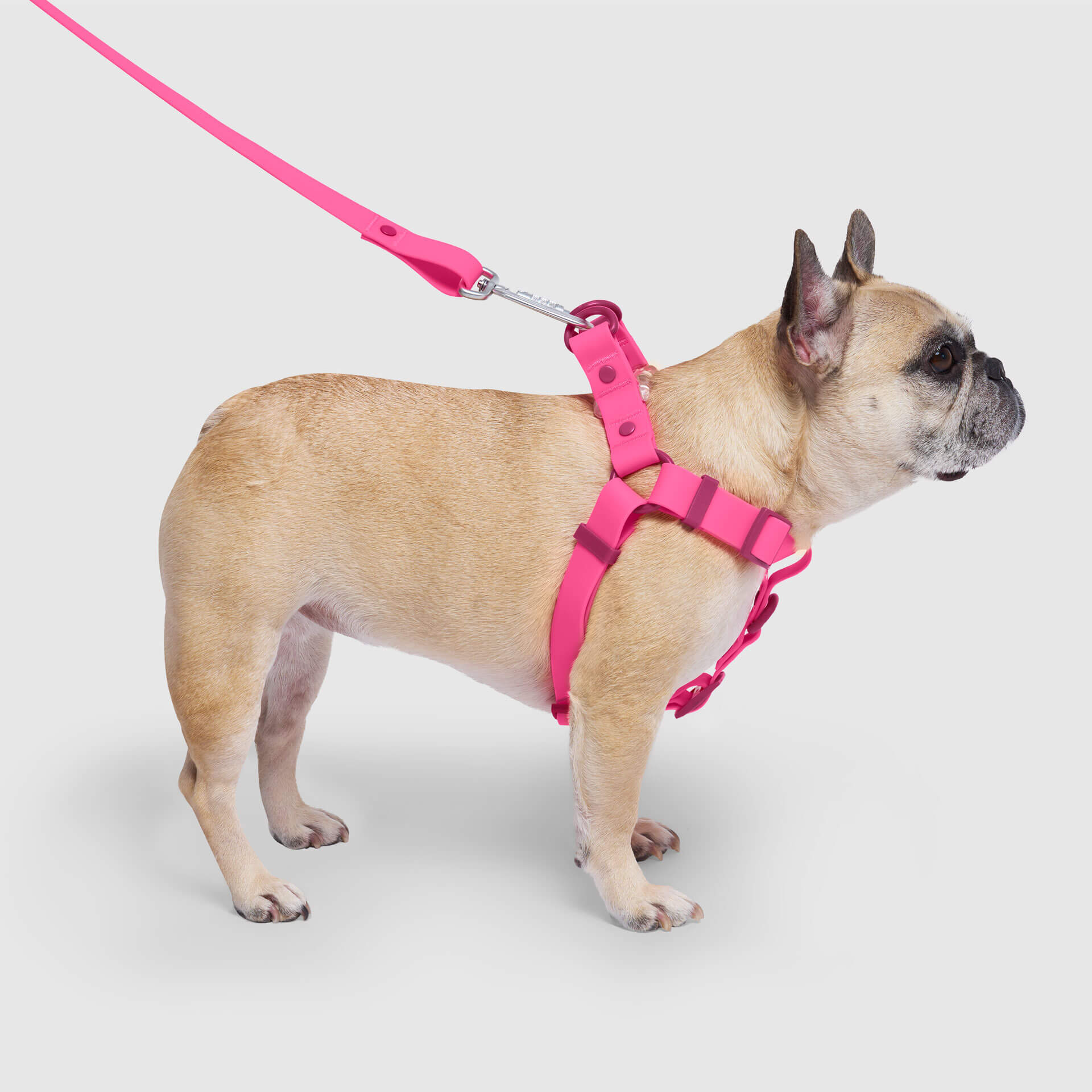Waterproof Harness M4rc
