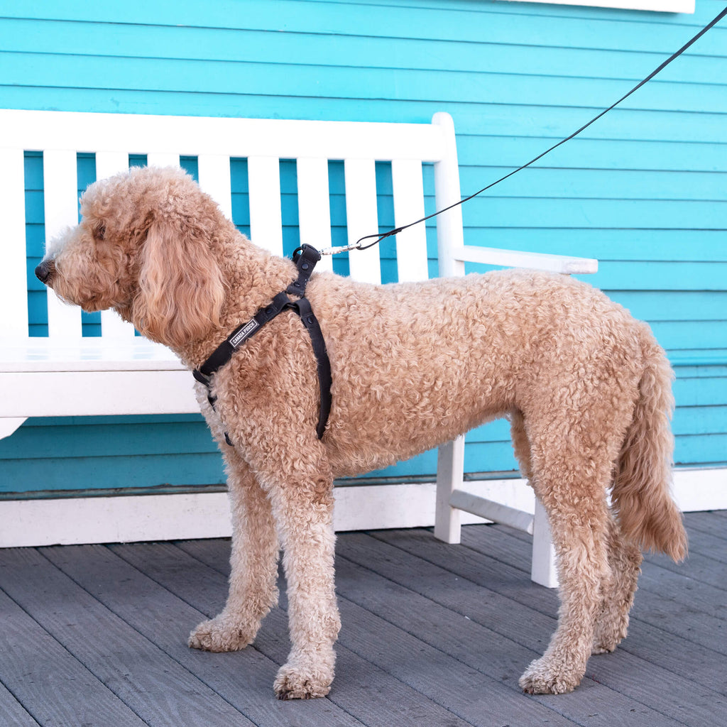 Waterproof Harness M4rc