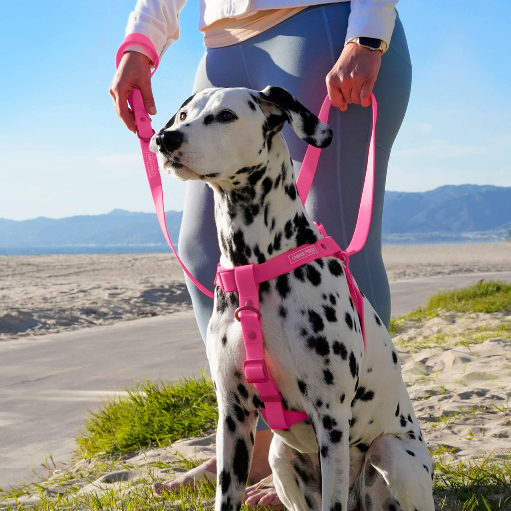 Waterproof Harness M4rc
