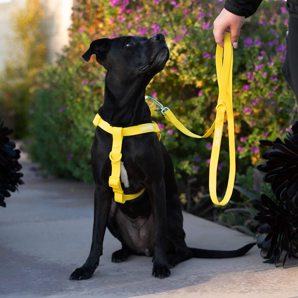 Waterproof Harness M4rc