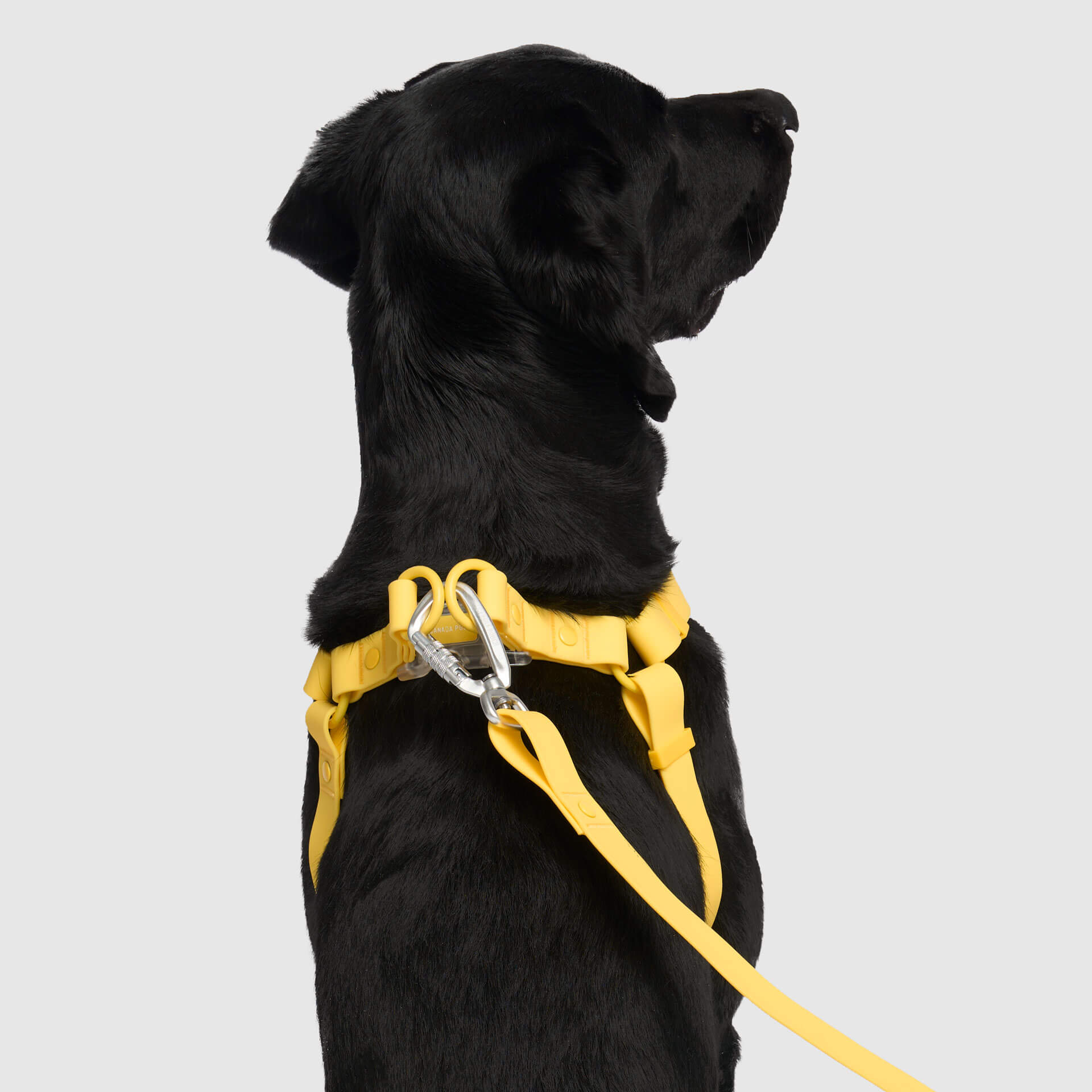 Waterproof Harness M4rc