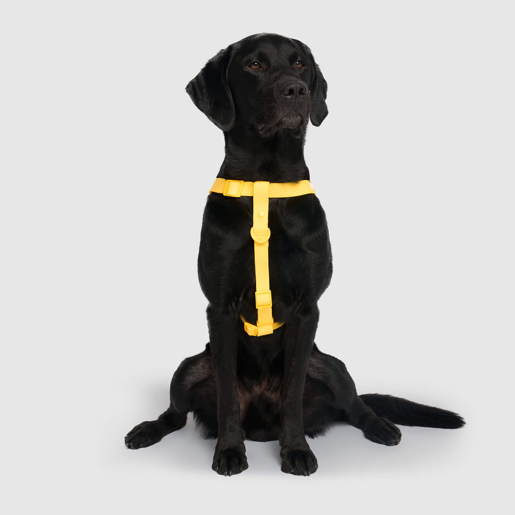 Waterproof Harness M4rc