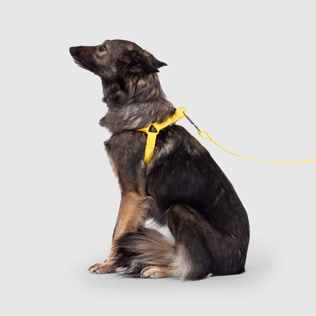 Waterproof Harness M4rc