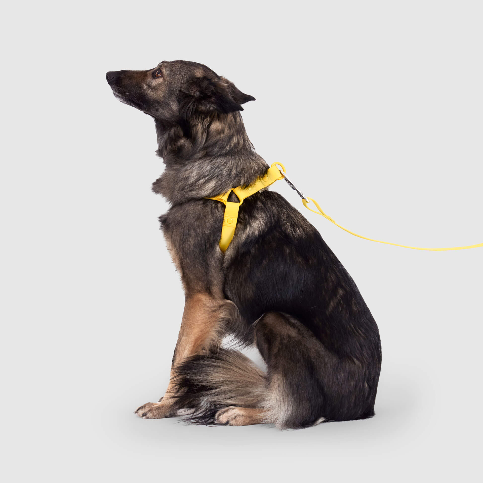 Waterproof Harness M4rc