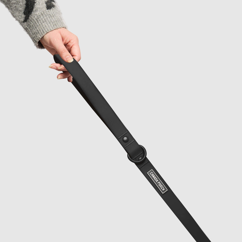 Waterproof Leash J9xv