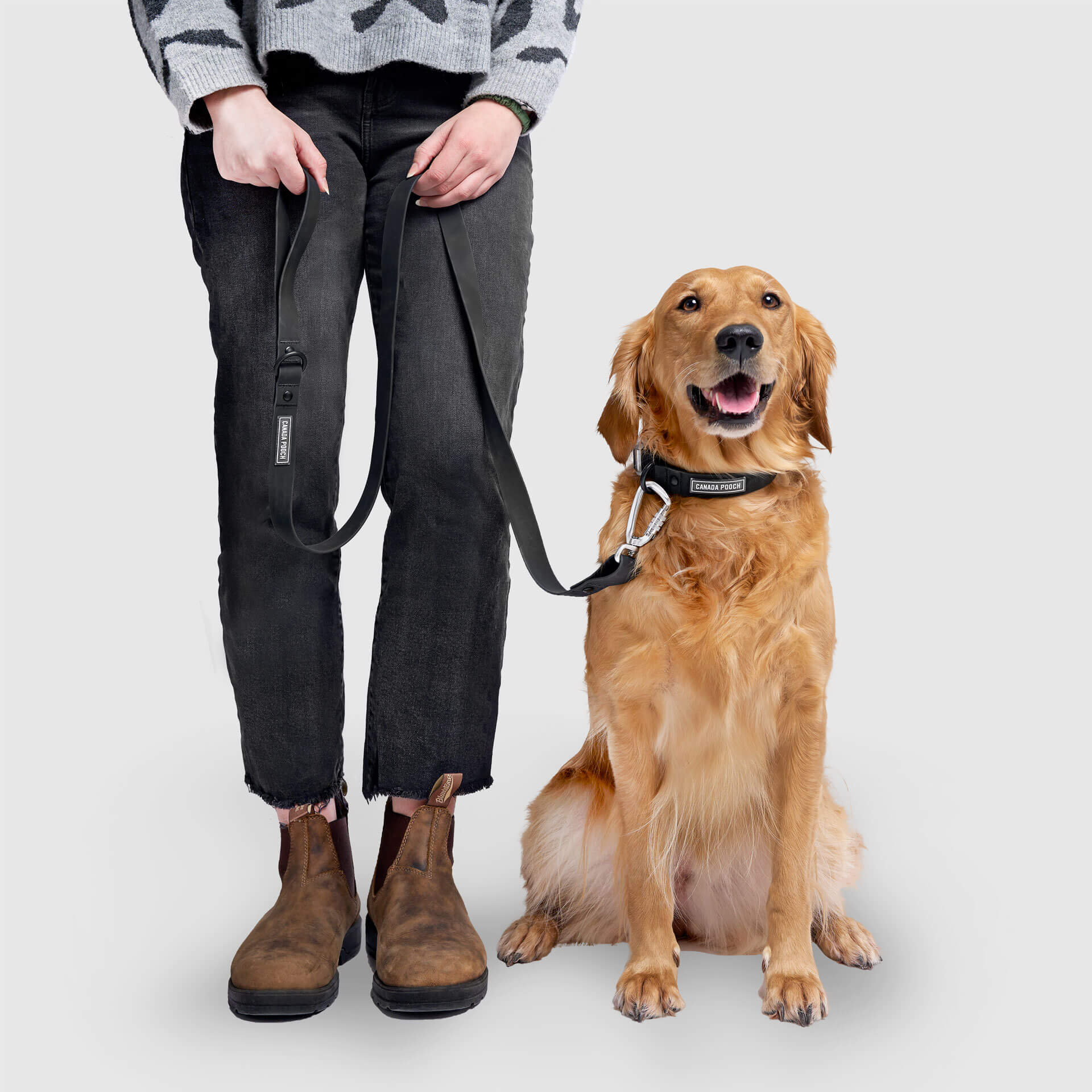 Waterproof Leash J9xv
