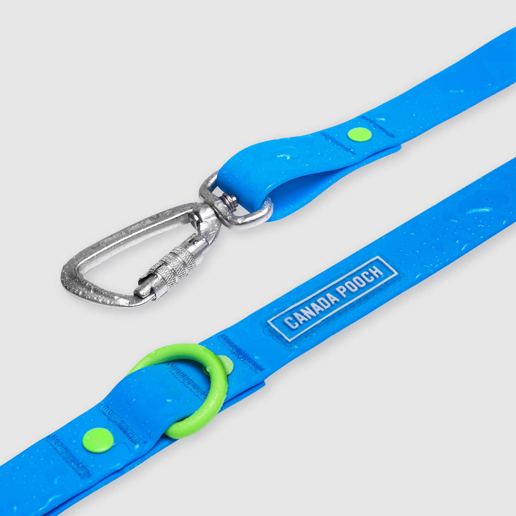Waterproof Leash J9xv