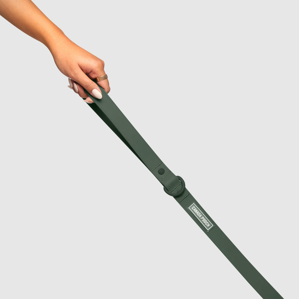 Waterproof Leash J9xv