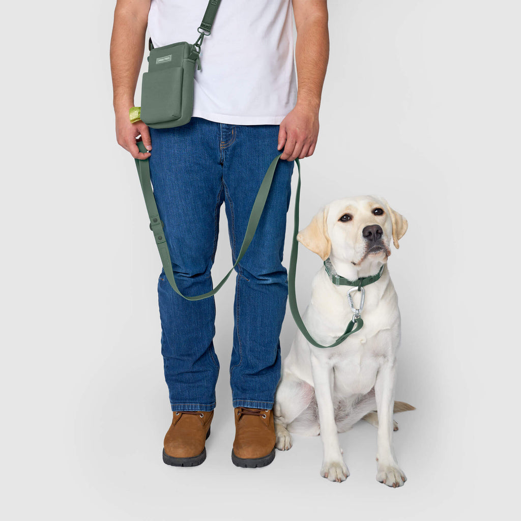 Waterproof Leash J9xv