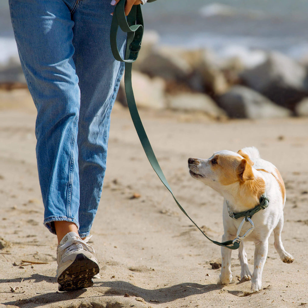 Waterproof Leash J9xv