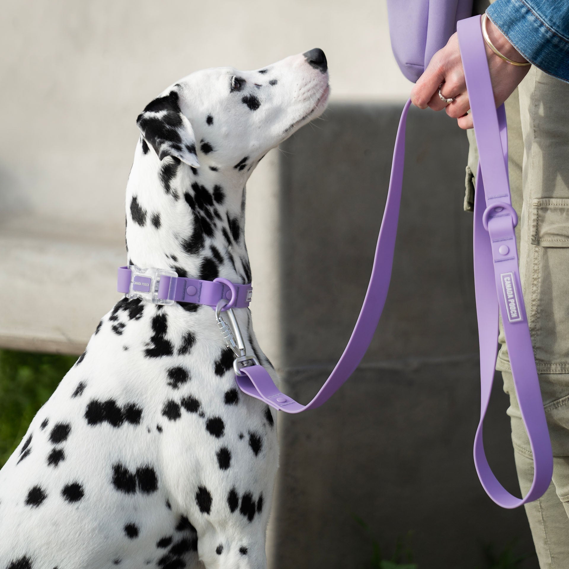 Waterproof Leash J9xv