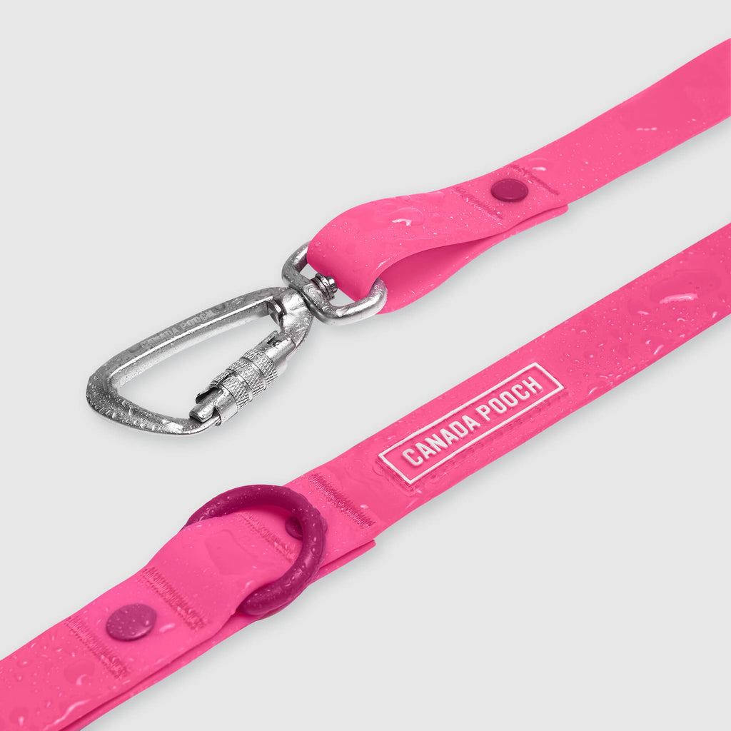 Waterproof Leash J9xv