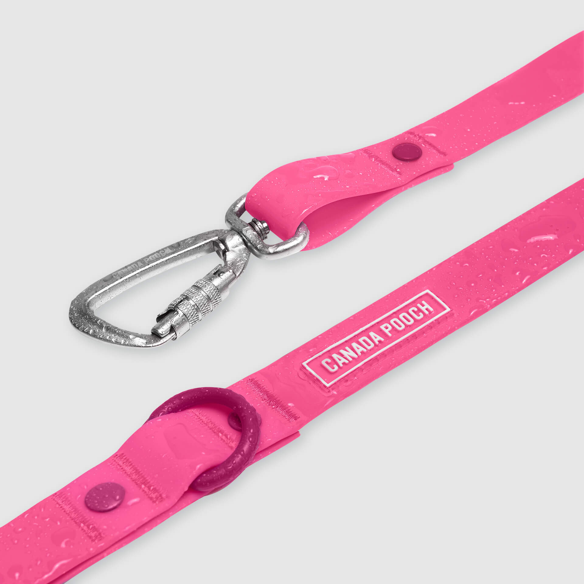 Waterproof Leash J9xv