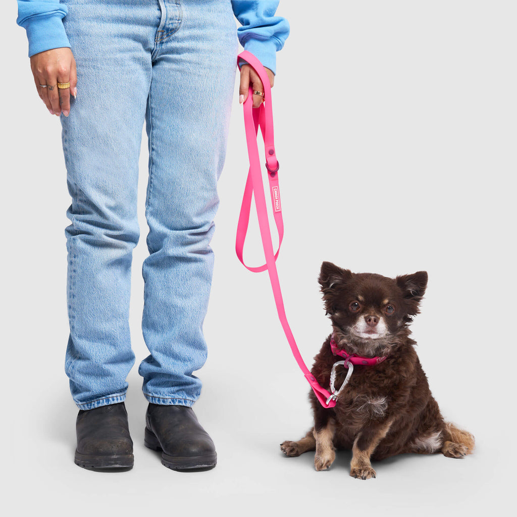 Waterproof Leash J9xv