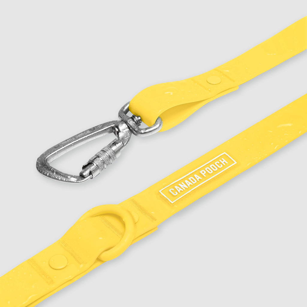 Waterproof Leash J9xv