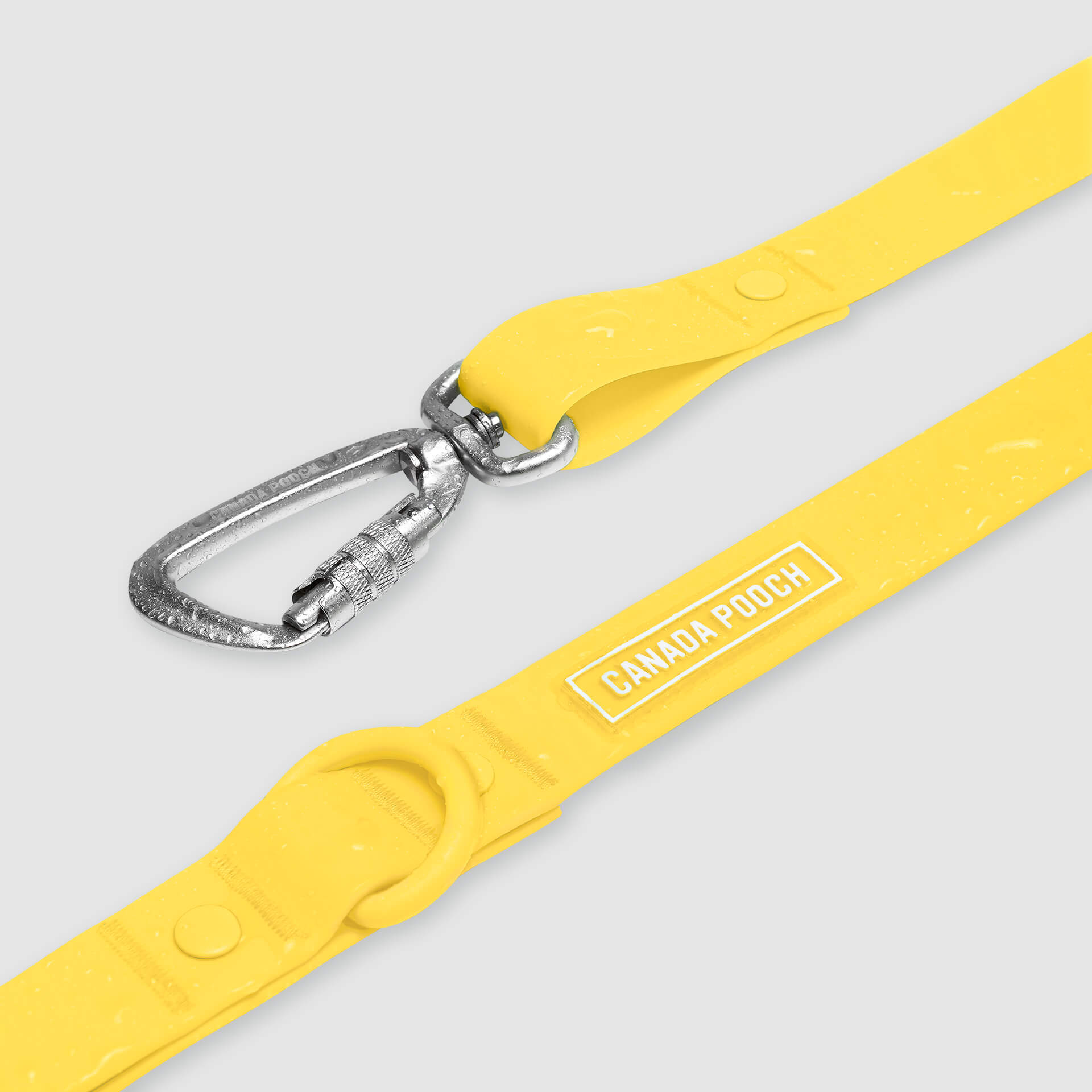 Waterproof Leash J9xv