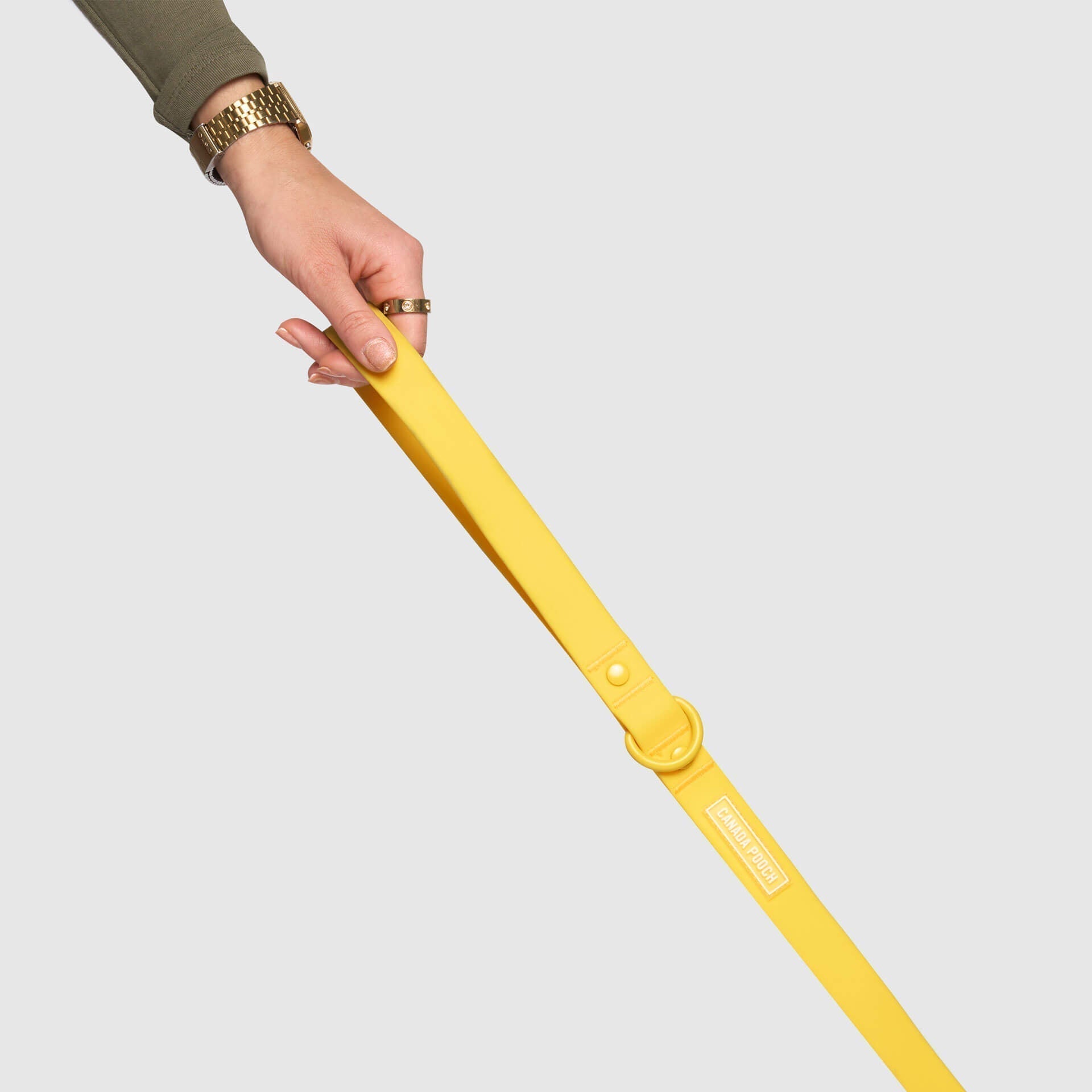 Waterproof Leash J9xv