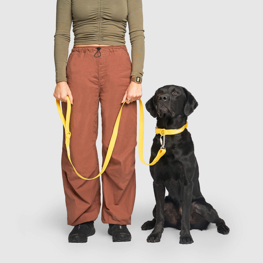Waterproof Leash J9xv