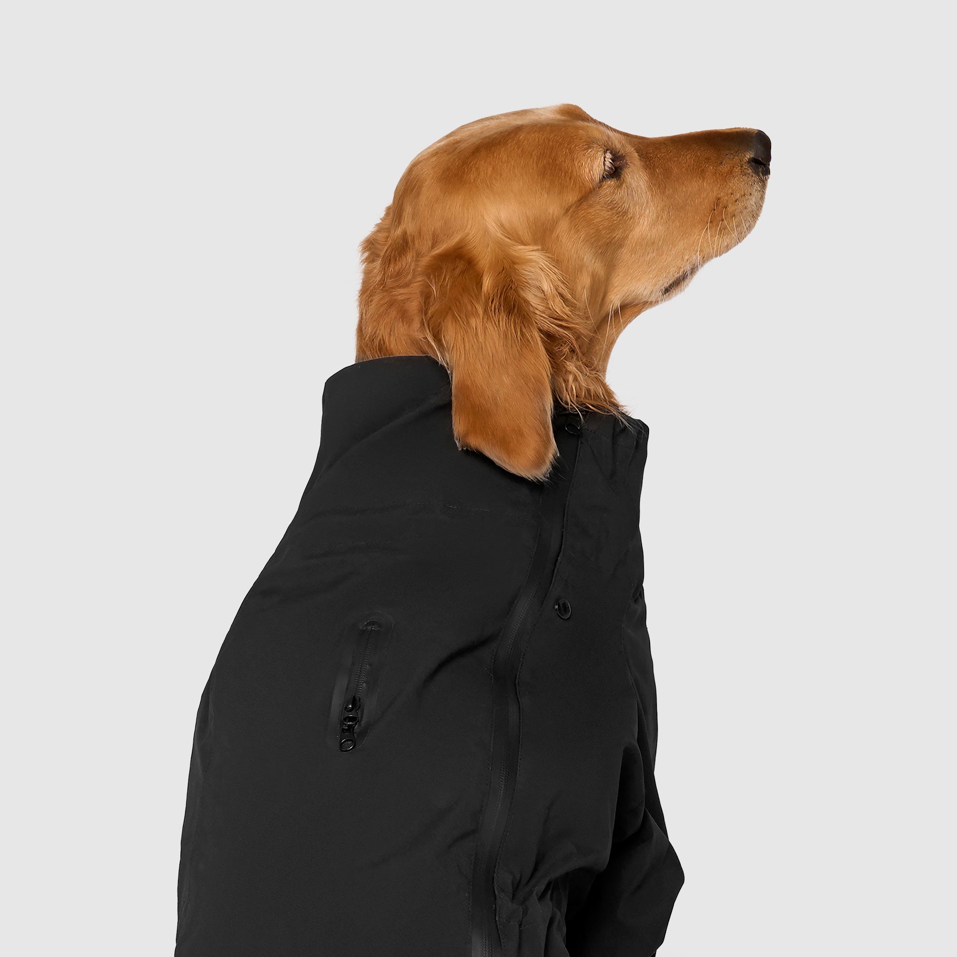 Waterproof Raincoat A8mo