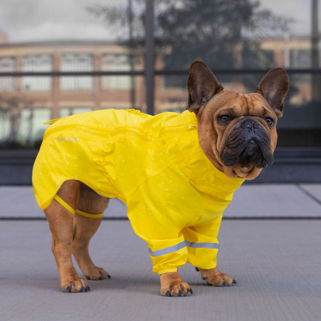 Waterproof Raincoat A8mo