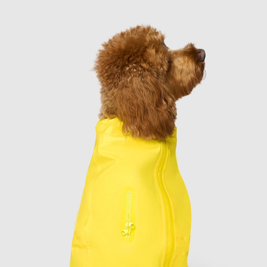 Waterproof Raincoat A8mo