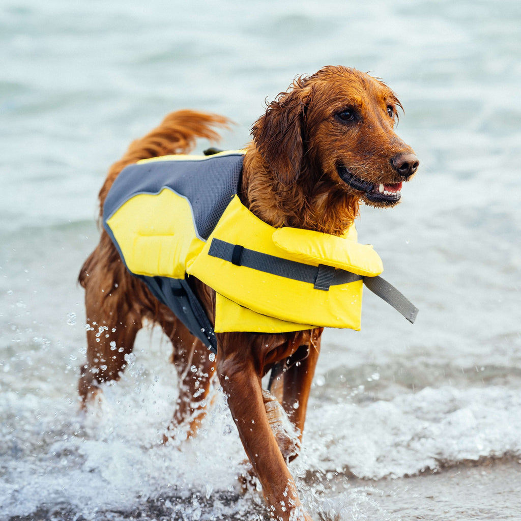 Wave Rider Life Jacket A0vx