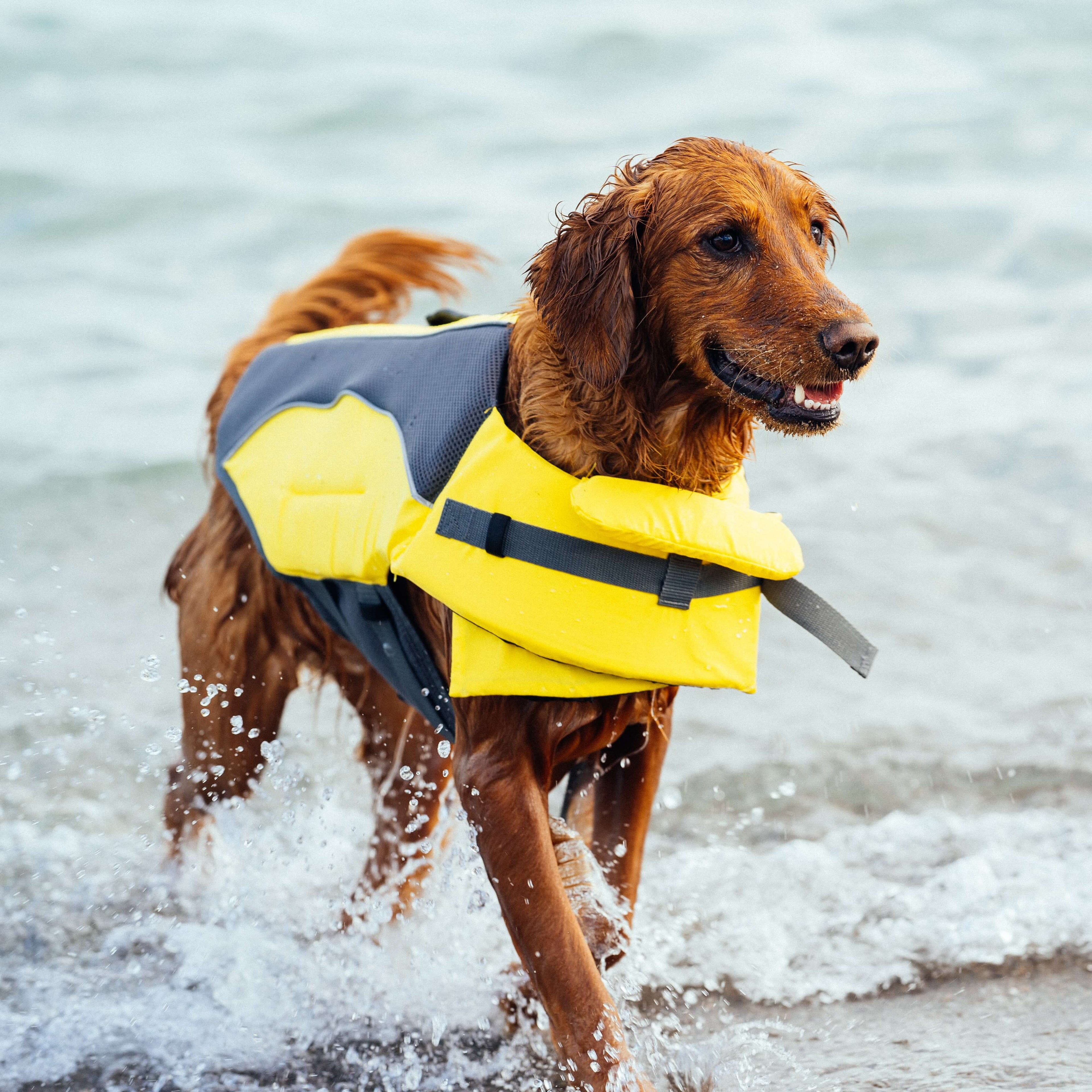 Wave Rider Life Jacket A0vx