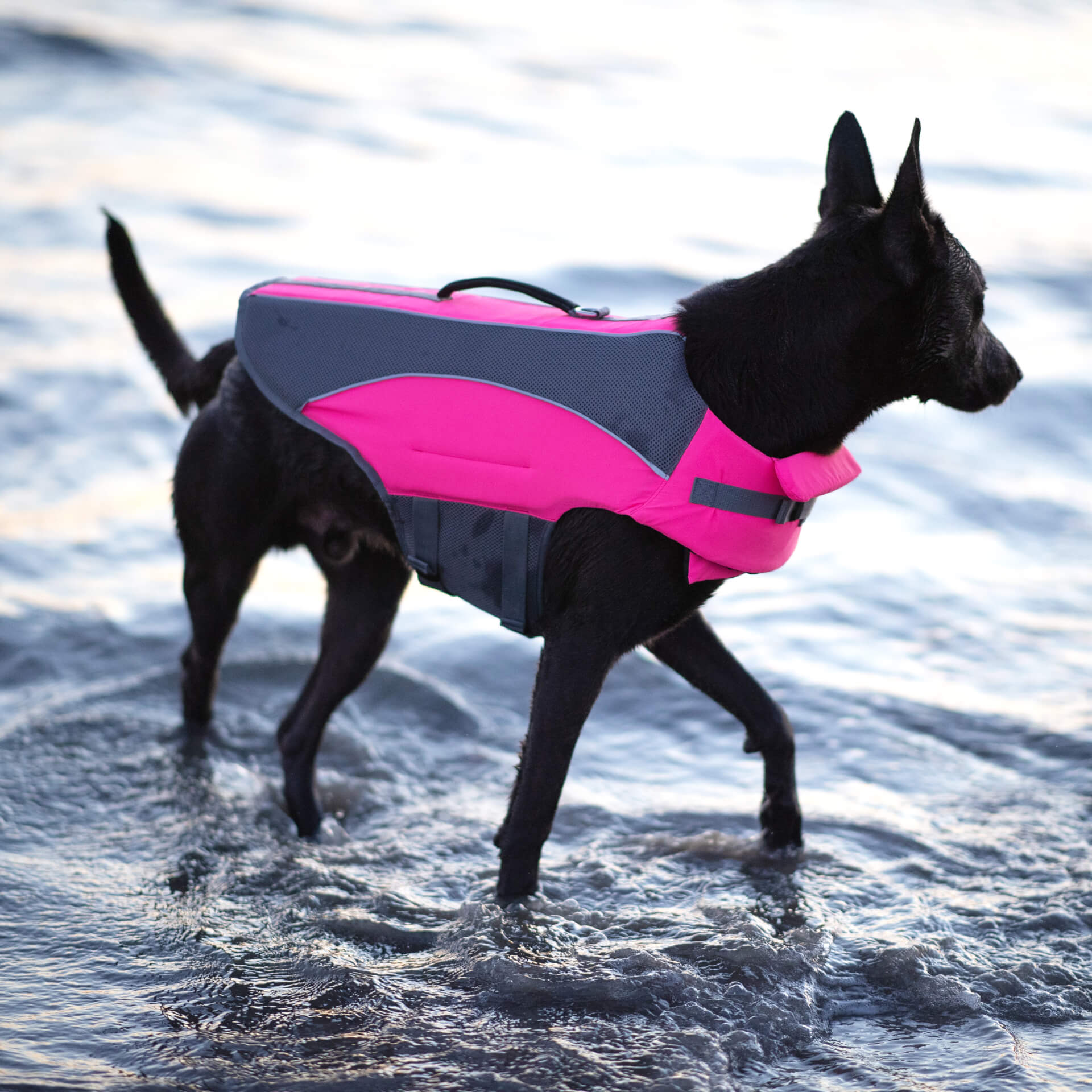 Wave Rider Life Jacket A0vx
