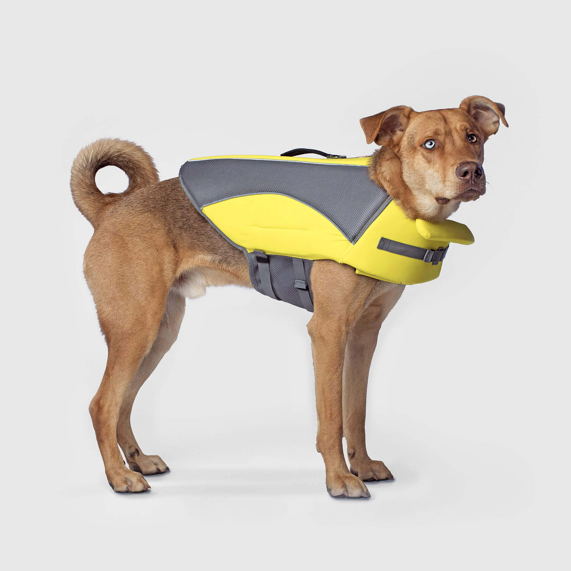 Wave Rider Life Jacket A0vx
