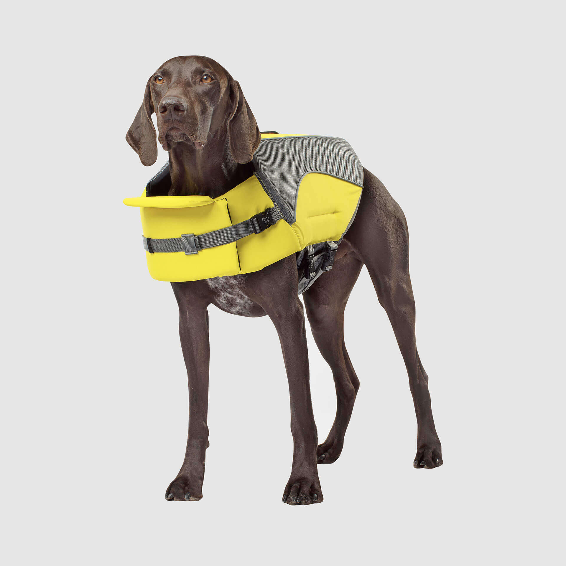 Wave Rider Life Jacket A0vx