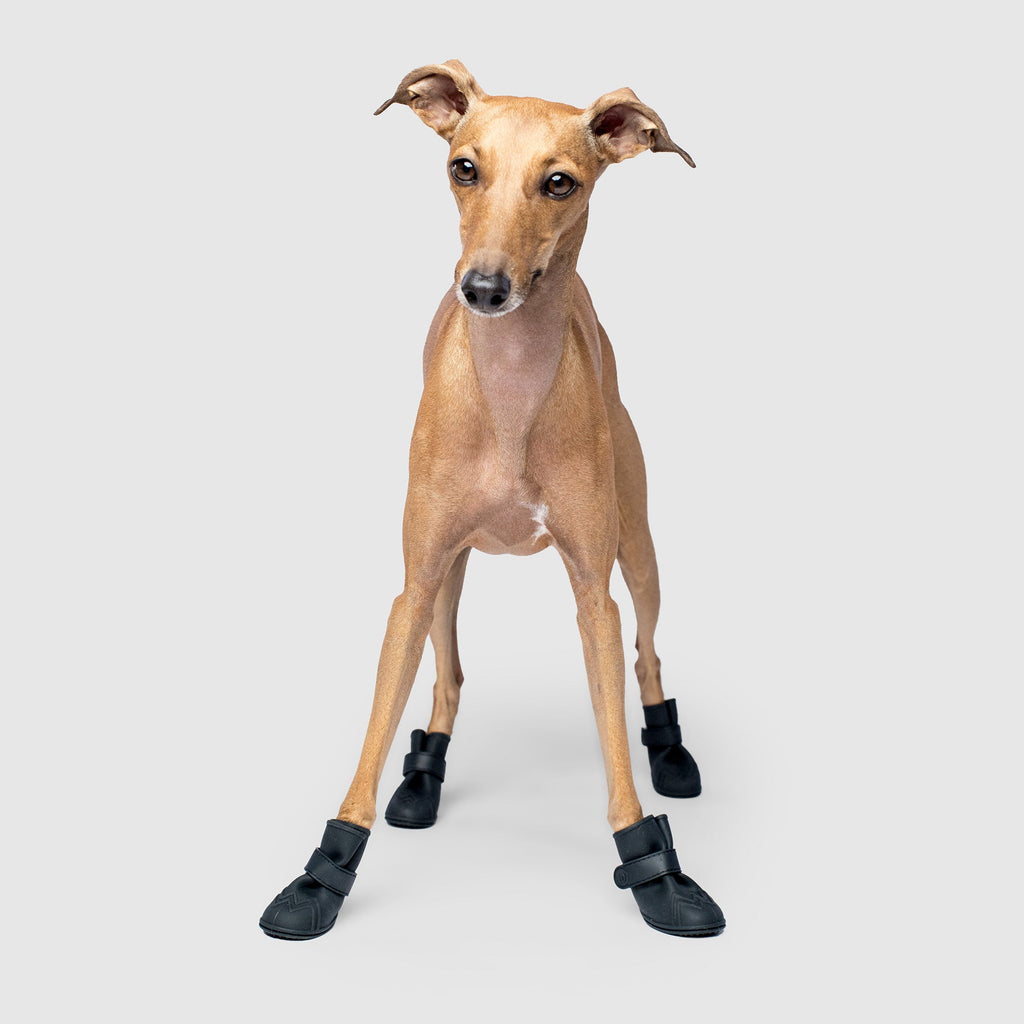 Unlined Wellies V9mz