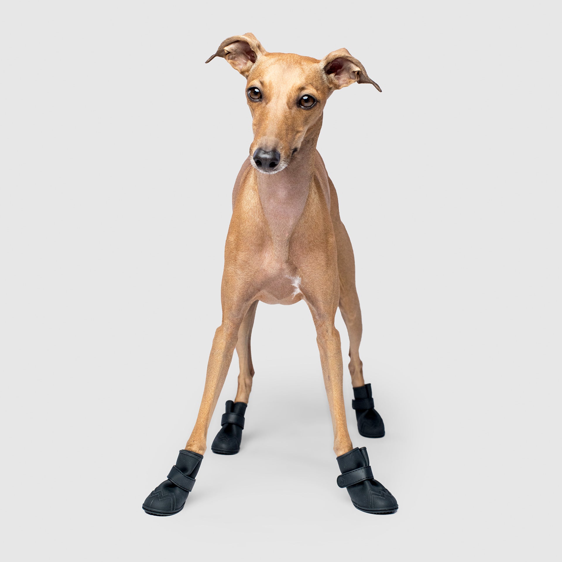 Unlined Wellies V9mz